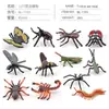 Simulação Transfronteiriça Modelo de Aranha Real Unicórnio Inseto Brinquedos Infantis Borboleta Abelha Ornamentos de Animais