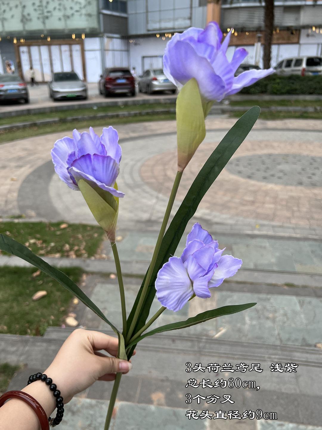 微信图片_20240329114105