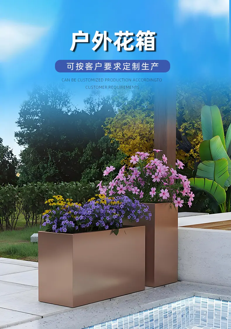 详情_01