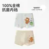 Ropa Interior para Niños Tipo Algodón Puro Algodón de 6 a 12 Años Calzoncillos tipo bóxer para Niños, Tallas Mediana y Grande para Niños, Talla Grande sin Pellizcar los Glúteos