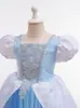 Vestido de Princesa Cenicienta Cenicienta para Niñas Frozen Elsa Malla Abullonada Bordado Vestido para el Día del Niño Infantil