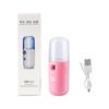 Rociador Nano Maruko-Chan Instrumento Portátil de Hidratación Humidificador Hidratante Vaporizador Facial de Mano Agua Desinfectante de Ácido Hipocloroso