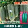 Semillas de Rábano Verde de Raíz a Raíz, Siembra en Huerto Agrícola, Híbrido de Maceta para Balcón, Resistente al Salvado, de Pulpa Verde, Semillas de Rábano Jugosas