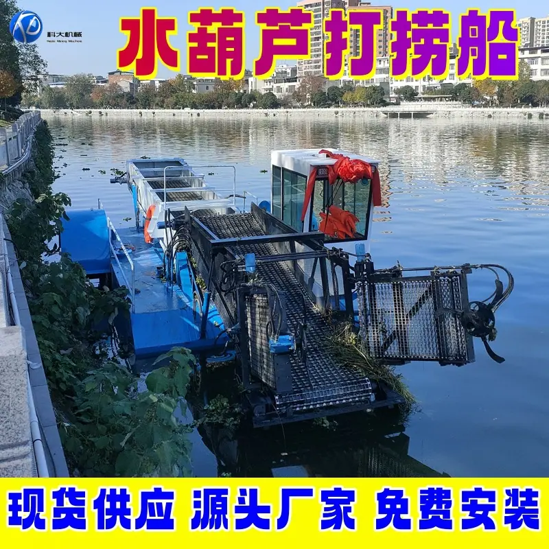 3_水葫芦副本.jpg