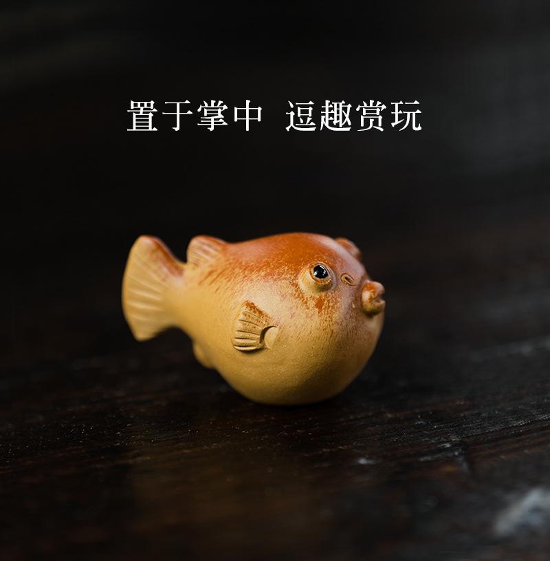 小河豚20210616 (16).jpg