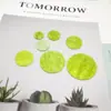 Nuezas Piezas Redondas Coloridas de Imitación de Concha Acrílica Adornos Colgantes para Carrillones de Viento Materiales Hechos a Mano para Ropa Accesorios para Joyería DIY