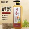 Fazitang Gengibre Fresco Shampoo Refrescante de Gengibre Fortalece o Cabelo, Fortalece as Raízes, Remove a Caspa, Alivia a Coceira, Refresca o Tamanho Pós-parto de Mulheres Grávidas