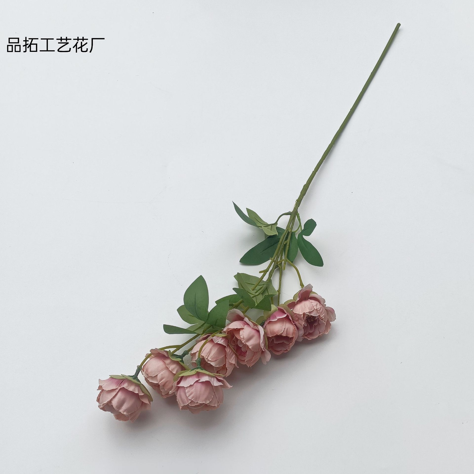 6e313702a3200135396aa5f6d6031d