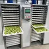 Equipamento de secagem secador de frutas alta temperatura grande frutas conservadas forno de secagem de caqui energia do ar Secador com Bomba de Calor