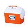 Caja Refrigerante Portátil Rectangular de Plástico PP de 10L para Conservación de Alimentos, Incubadora de Frescura, Hielo, Espuma de Grado Alimenticio