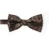 Gravata Borboleta Masculina Novo Estilo, Gravata Borboleta de Poliéster Colorida da Moda, Gravata Borboleta de Alta Qualidade, Gravata Borboleta Paisley para Homens
