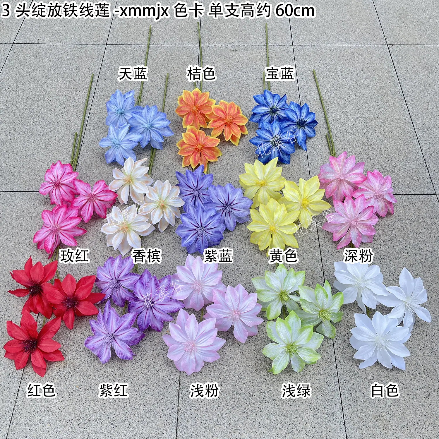3头绽放铁线莲-xmmjx 色卡 花溪谷.jpg