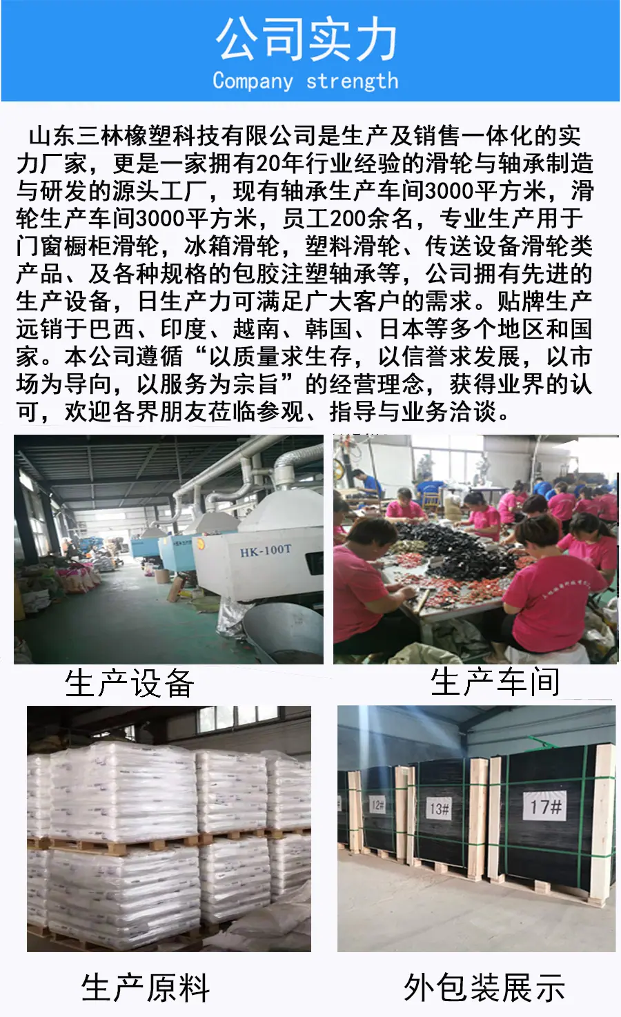 三林橡塑公司实力