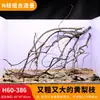 Árbol para paisajismo de acuario sudamericano, ramas secas, ramas de peral amarillo, decoración de sustrato, pecera pequeña, ramas naturales, decoración de paisajismo y paisajismo.