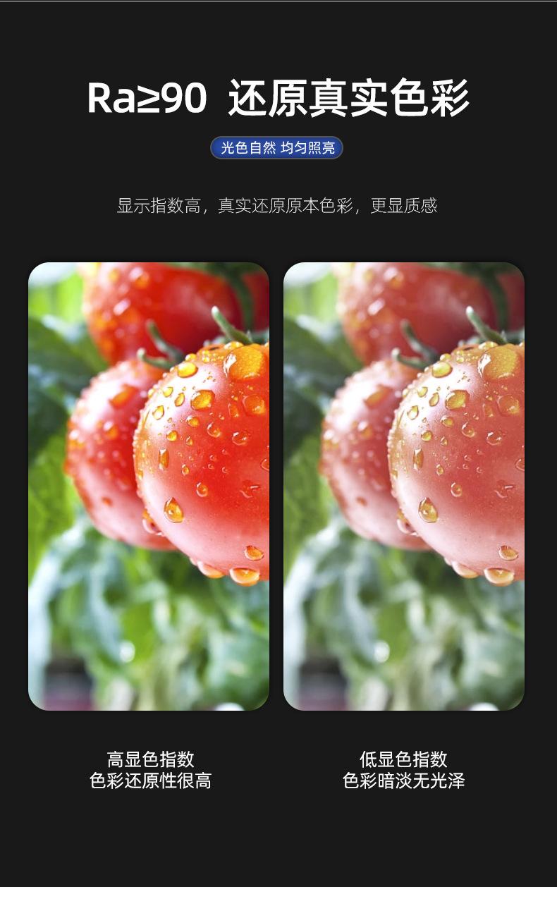 详情_10.jpg