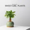 [Plantas Verdes da Fornalha Ge] Árvore da Fortuna Wufu em Vaso Plantas de Interior Mesa de Escritório Bonsai Plantas Verdes São Fáceis de Manter
