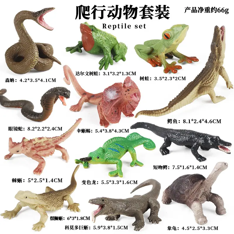 12款爬行动物