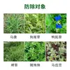 Ping'An Xingnuan Remove Cavalo, Burro, Tendão de Boi, Beldroega, Água, Amendoim, Erva Daninha, Grama Bermuda das Filipinas Herbicida para Gramado de Estação Quente