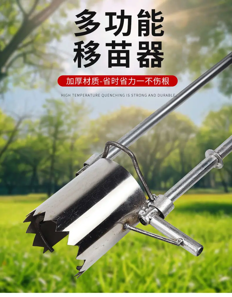 详情_01.jpg