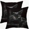 Capa de Almofada de Gato Mais Vendida da Temu, Capa de Almofada de Animal Fofa e Divertida, Capa de Almofada Decorativa para Quarto, Casa, Sofá Venda por Atacado
