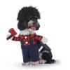 Disfraz de Disfraz para Perro Mascota Ropa Cosplay Halloween Calabaza Disfraz de Pie Divertido Disfraz de Disfraz para Perro Mascota