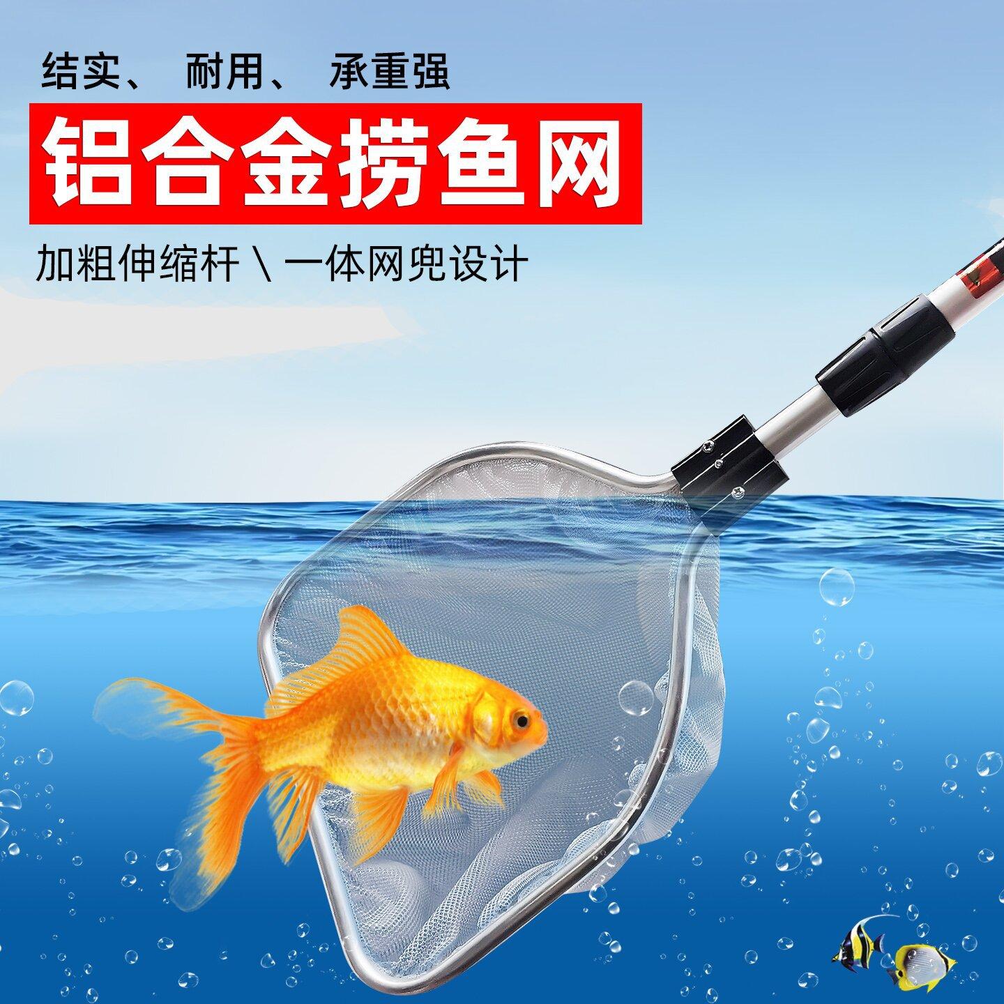 大管灰网0_proc