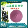 Makita Berry Antocianina Grau Alimentício Extrato de Makita Berry Antocianina Fábrica Atacado Pó de Makita Berry em Estoque