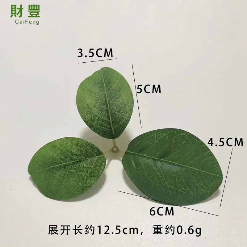 三叉柠檬叶1.jpg