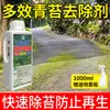 Removedor de Musgo, Removedor Especial de Musgo para Piso de Cemento, Removedor de Musgo y Algas para Pared de Casa