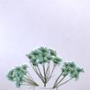 Flor de encaje Flor de nieve Flor de cuentas Flor de múltiples cabezas Planta Especimen diy Flor seca Carcasa de teléfono móvil Relieve Hecho a mano para niños Especimen