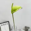 Novo produto: Flores Artificiais de EVA para Exibição em Lobby de Hotel, Decoração de Cenário para Fotografia ao Ar Livre e Flores Artesanais