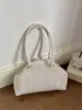 Bolsa Nuvem Plissada Transfronteiriça Feminina 2025 Nova Moda Versátil Bolsa de Ombro Bolsa Transversal Bolsa de Mão Pequena Quadrada