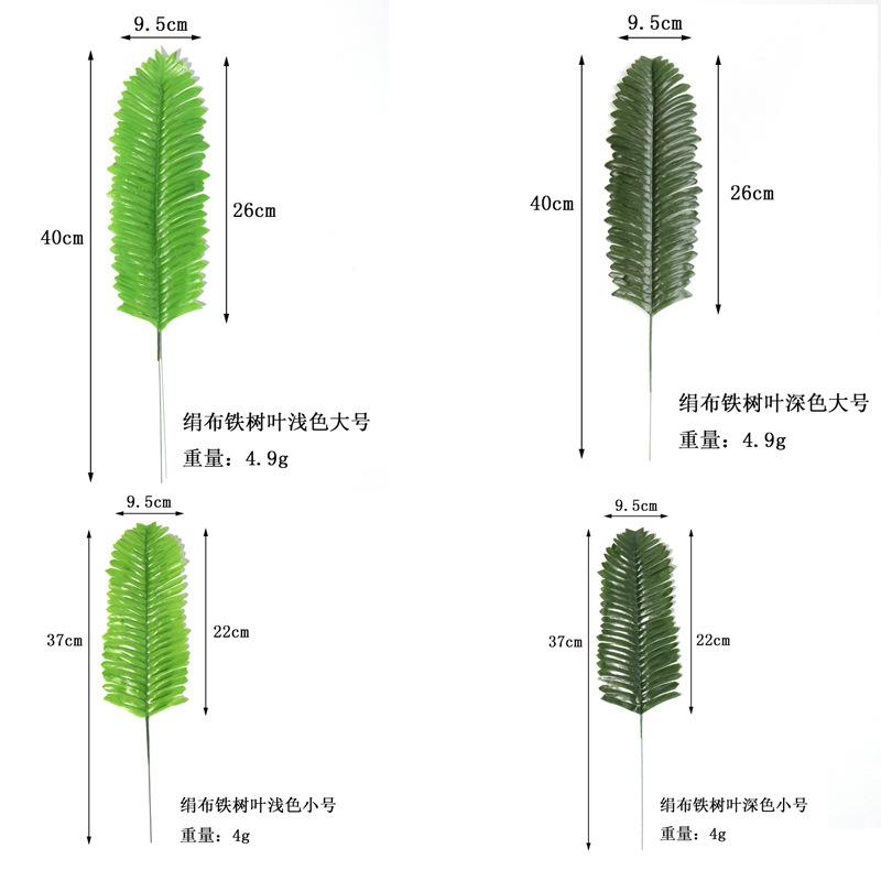 铁树叶尺寸图