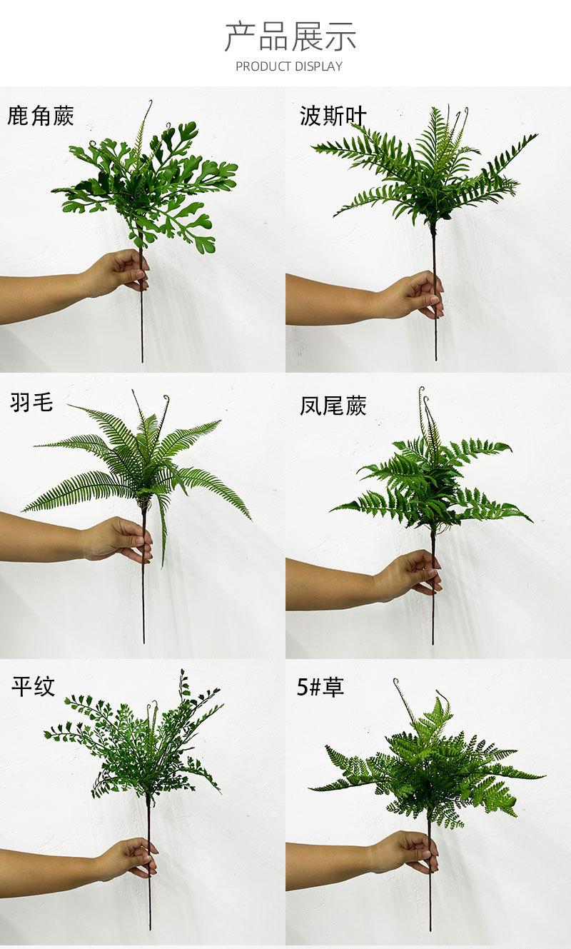9片卷纸细长杆绿色详情页_05