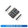 ASRPRO5.0 Placa de Desarrollo de Reconocimiento de Voz Offline Módulo de Control por Voz para el Hogar Tianwen Placa Base Central DIY