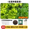 Maceta para plantar verduras en balcón, caja de plantación de verduras de autorriego, para personas perezosas, rectangular, para plantar cebolla, maceta de plástico para flores, interior, anillo de resina, envoltorio