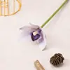 Flores Artificiales Plantas Verdes Flores de Seda Flores de Simulación Phalaenopsis Individual Arreglo Floral para Sala de Té China Accesorios para Disparos Decoración Flores Decorativas