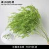 Plantas Verdes, Hierba de Junco, Hierba Bigote de Dragón, Fondo de Boda, Paisajismo de Ventana Floral, Flores Decorativas para Boda en Bosque Blanco y Verde