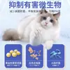 Gotas para Oídos de Mascotas para Eliminar Ácaros y Hongos, Solución Limpiadora de Oídos para Gatos y Perros, Solución Limpiadora de Oídos para Perros y Gatos