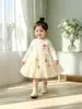 Vestido sin mangas de terciopelo fino para niña de otoño e invierno, lindo vestido tipo chaleco con falda de malla multicapa, vestido de princesa para bebé, Dropshipping