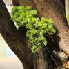 Galhos Artificiais de Pinheiro, Agulhas de Pinheiro, Cipreste Falso, Belos Galhos de Pinheiro, Folhas de Pinheiro, Pinheiro Negro, Galhos de Tuia, Planta de Boas-Vindas