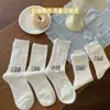 Calcetines de encaje blancos, calcetines de media pantorrilla para mujer, calcetines largos de malla transpirable para verano, estilo ballet, calcetines largos de verano japoneses