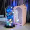 Regalo de San Valentín Cubierta Acrílica Luminosa LED Rosas para Cumpleaños de Novias Regalo del Día de la Madre para Mamá