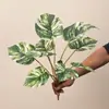 Hojas de Begonia artificiales, Hojas de Monstera, Filodendro colgante, plantas verdes decorativas para paisajismo, escenografía para sala de transmisión en vivo, hojas verdes de bonsái, decoración del hogar