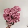 Flores preservadas, flores de painço, flores de arroz flor eterna, capim de painço, arranjos florais para decoração de casa DIY, flores Xiduo