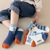 Calcetines de comercio exterior para niños, calcetines gruesos de tubo, calcetines de rizo para otoño e invierno, calcetines cálidos con forro polar para niñas.