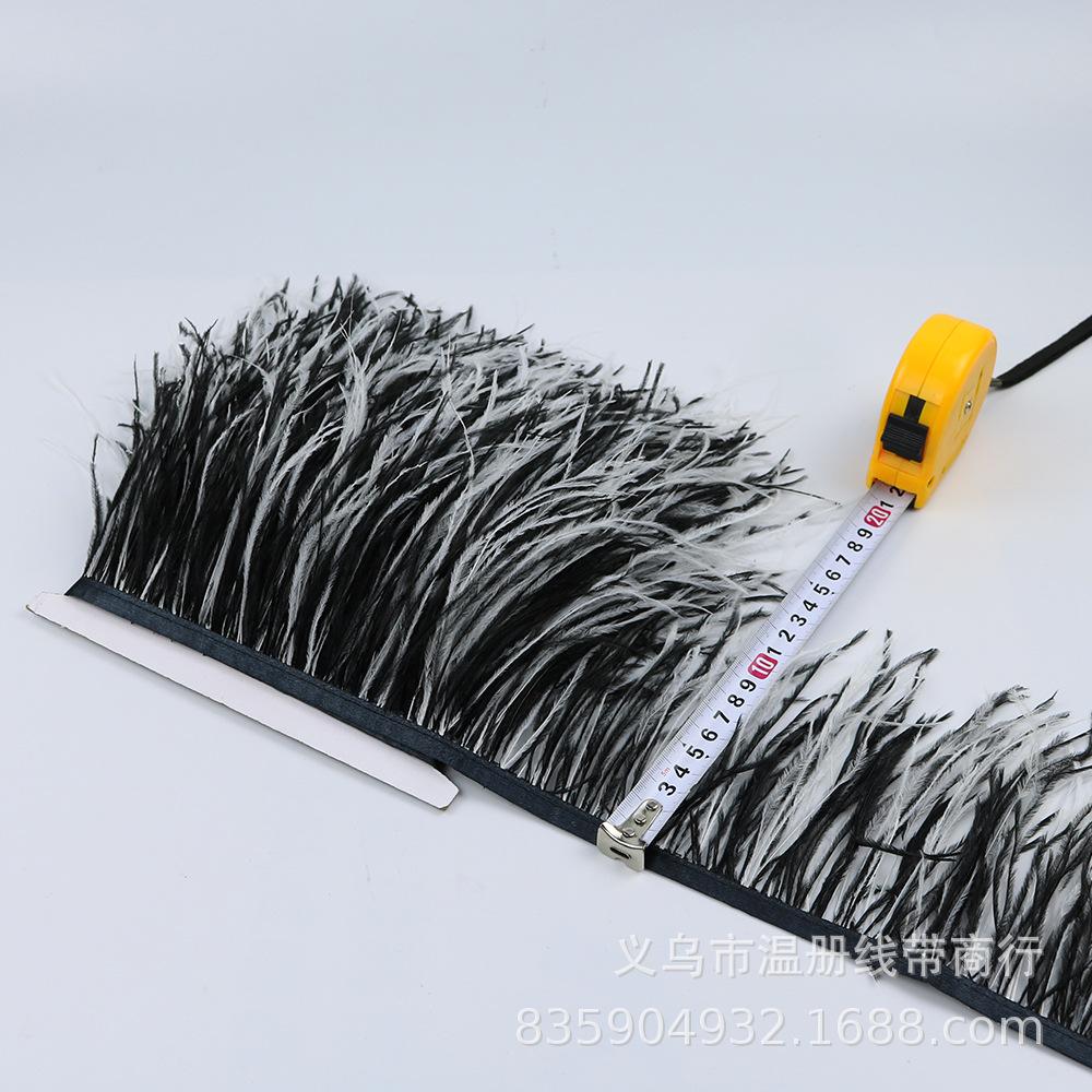 white and black ostrich feathe