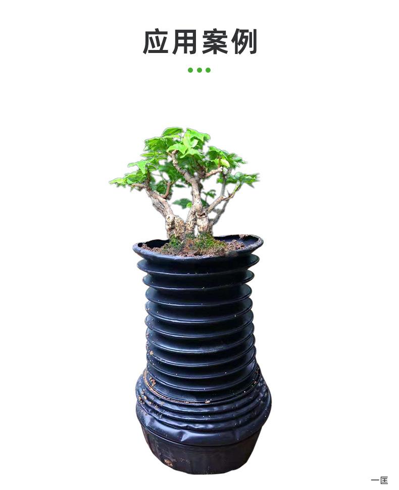 提根植物培育盆