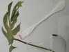 Brocha de Maquillaje Nueva Lista para Usar del Fabricante Brocha para Mascarilla de Belleza de Doble Propósito Palito para Ajuste de Película Herramienta de Belleza