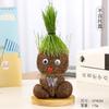 Muñeca de hierba creativa con ojos grandes, linda mini planta de hierba larga para niños, cultivo de escritorio, plantación, pequeña muñeca con cabeza de hierba en maceta